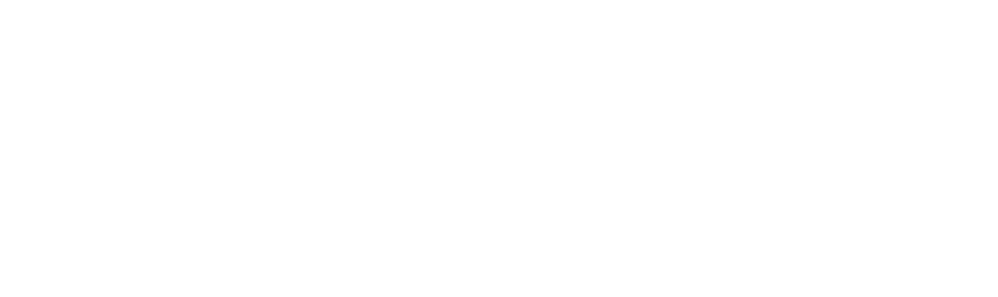 RVKO logo wit