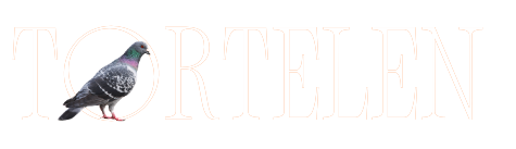 Tortelen Banner 41 4 x 41 4 cm 1000 x 300 px 2 2 e1739389736976